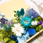 潤いのハーバルライフ＊シルバーデージー ＊ハーバリウム　花材ドライフラワー　花材詰め合わせセット