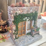多肉植物が植えられるモルタルハウス（plant shop）