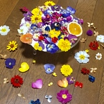 ④お花屋さんが作った11種の可愛いドライフラワーのお詰め合わせ
