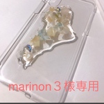 marinon3様専用　琵琶湖 ニュアンスiPhoneXケース