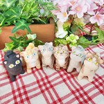 お散歩猫