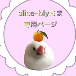 2/23 alice-b14さま　専用ページ