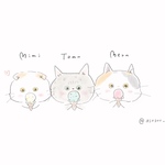 専用ページ