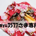 犬着物　myu3577様専用　 S 赤　帯(黒2色)