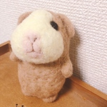 羊毛モルモット人形🐹ハチワレちゃん🐹