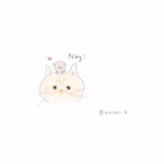 専用ページ