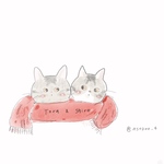 専用ページ