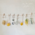 ドライフラワー　ガーランド