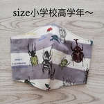 【送料無料】カブトムシ　クワガタ　昆虫の立体マスク　高学年から大人size　男の子　　グレー②
