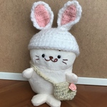 ぬいぐるみ☆うさぎ帽子とバッグのセット