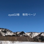 aya602様 専用ページ