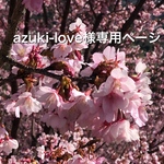 azuki-love様専用ページ