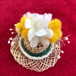 シマリス、ハムスター用桜とミモザの帽子
