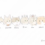 専用ページ