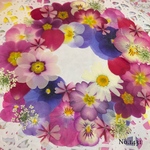 ♡new♡  ♡可愛い押し花セット♡ ♡たくさん入って使いやすい押し花セット♡