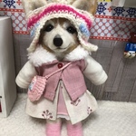 コーギーちゃんO様オーダー注文品