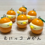 むにっコ みかん