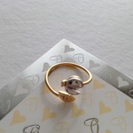 てんとう虫と葉っぱのリング