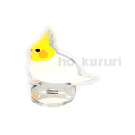鳥 オカメインコ アクリルスタンド 2790