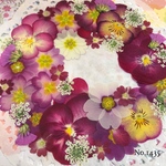 ♡new♡  ♡可愛い押し花セット♡ ♡たくさん入って使いやすい押し花セット♡