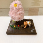 桜とねこ