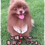 ＊ W様オーダー専用 ＊　オーナー様お揃いシュシュとキャミワンピ