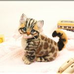 羊毛フェルト　猫　ベンガルさん　ねこ　ネコ　猫フィギュア