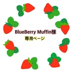 BlueBerry Muffin様専用ページ