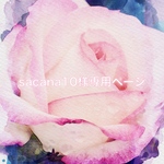 sacana10様専用ページです。