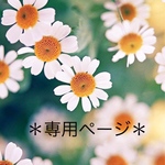 専用ページ＊a-chama06様