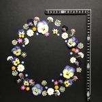 押し花　　花便NO.1413