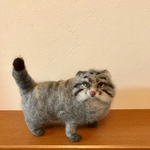 マヌルネコ