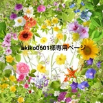 akiko0601様専用ページ