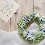 Blue flower ビオラのブルーフラワー