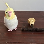樫のT型パーチ（S）