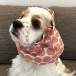 ドッド柄❤︎薄ピンク　中型犬用スヌード　犬用スヌード