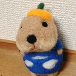 空模様の服と🍊の帽子リチャードソンジリス🐿