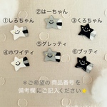 (新色です＊) 選べる　名札クリップ　プラ板　星　かわいい　シンプル