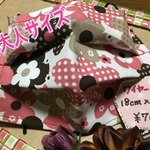 ワイヤー入り プリーツマスク