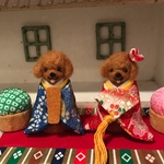 ご予約品◆わんちゃんお雛様