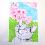 「ロシアンブルーと桜」イラスト原画