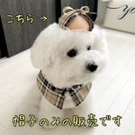 探偵の帽子◇バーバリーチェック◇
