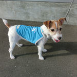 小型犬用Ｍシャダンタンク