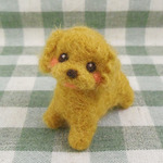 【再販】【四足】トイプードルさん