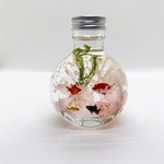 [専用ページ］最高級ハーバリウム〜Red Goldfish pink〜