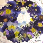 ♡new♡  ♡可愛い押し花セット♡ ♡たくさん入って使いやすい押し花セット♡