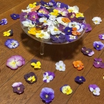 ③お花屋さんが作った春を彩る可愛いビオラのドライフラワー山盛り70冠‼️