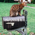 【cherry508様専用】