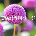 gab＊＊さまご検討ページ