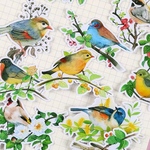 2月21日❣️再販売‼️鳥と花の物語2